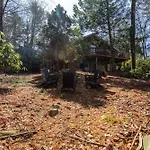 Whispering Pines Chalet Game Room Fire Pit
